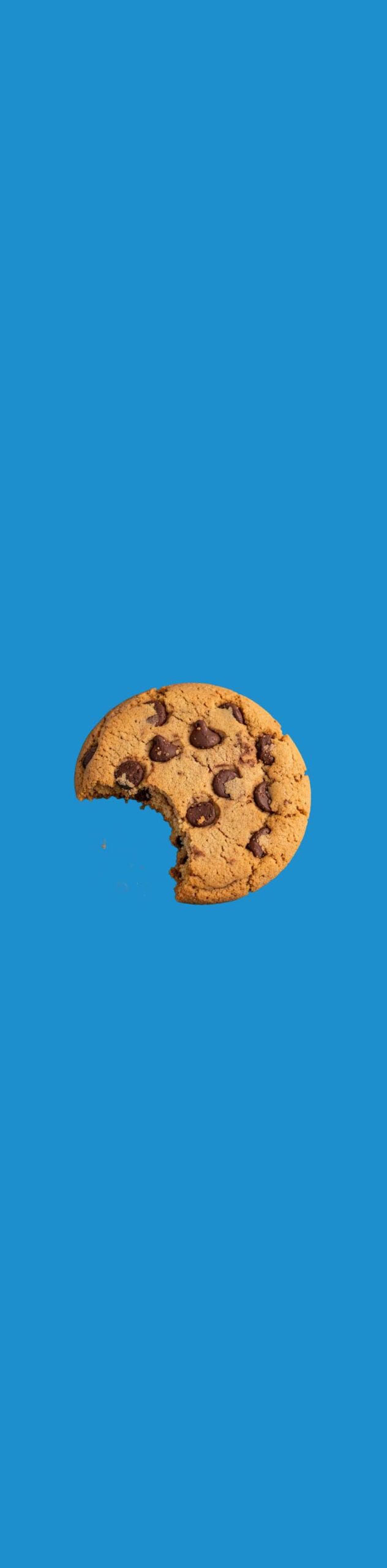 Angeknabberter Cookie auf blauer Fläche © KOPFÜBER Film und Mediengestaltung OG